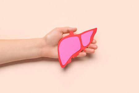 Female hand holding pink paper liver on beige background