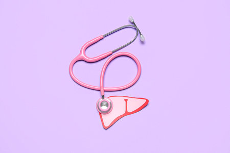 Pink paper liver with stethoscope on lilac backgroundの写真素材