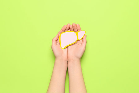 Female hands holding pink paper liver on green backgroundの写真素材