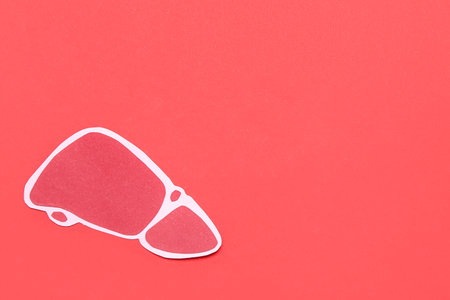 Paper liver on red backgroundの写真素材
