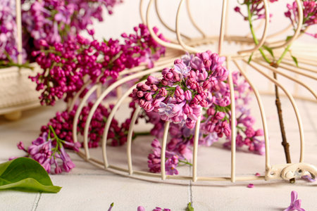 Birdcage with beautiful lilac flowers on light tile table, closeupの写真素材