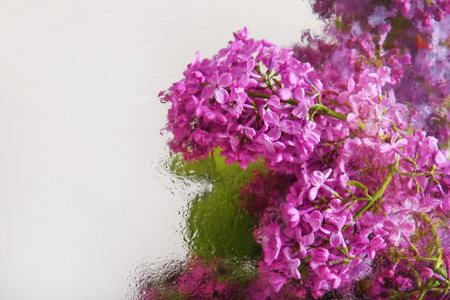 Beautiful lilac flowers behind wet glass on white background, closeup