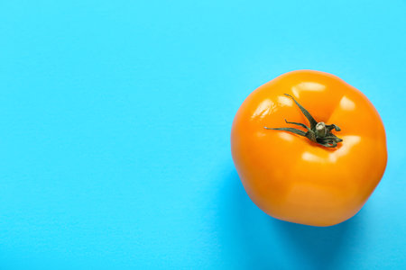 fresh tomato on blue backgroundの写真素材