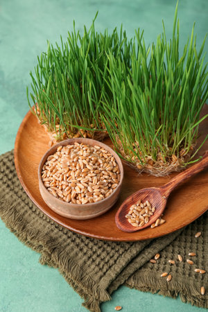 Fresh wheatgrass with wooden board on green grunge tableの写真素材