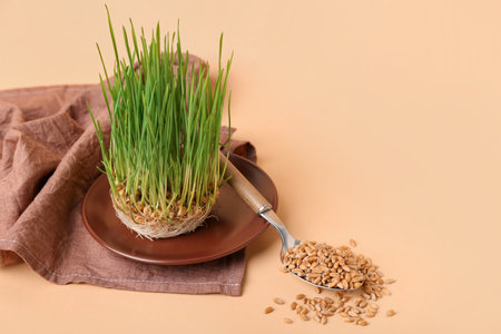 Fresh wheatgrass and spoon on beige backgroundの写真素材