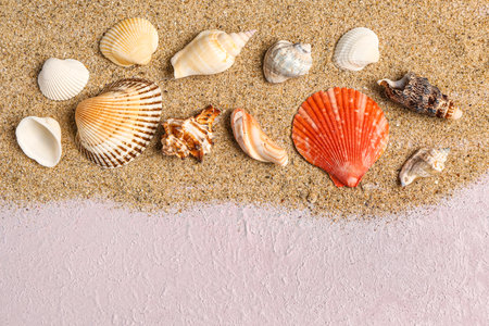 Sand with seashells on lilac backgroundの写真素材