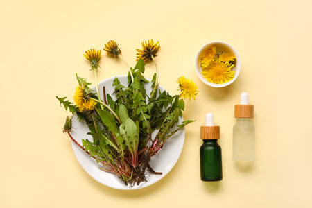 Bottles with cosmetic oil and plate of dandelion flowers on beige backgroundの写真素材