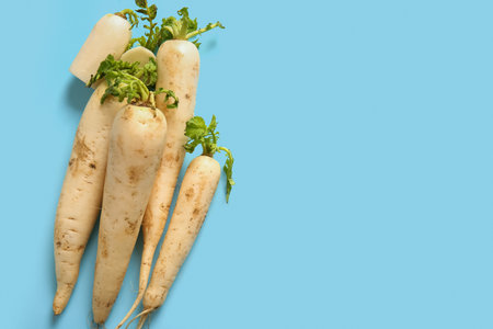 Fresh daikon radish on blue backgroundの写真素材
