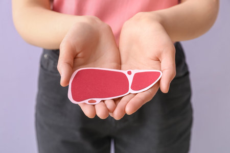 Woman holding red paper liver on lilac backgroundの写真素材