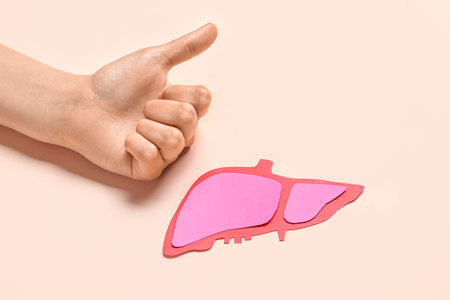 Woman showing thumb-up sign and pink paper liver on beige backgroundの写真素材