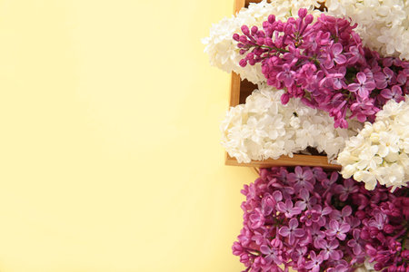 Wooden boxes with beautiful lilac flowers on pale yellow backgroundの写真素材