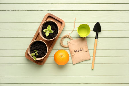 Pack with seeds, green seedlings, orange and gardening tools on green wooden backgroundの写真素材