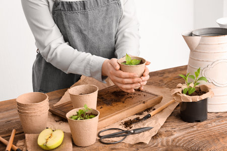 Woman holding peat pot with green seedling at table on white background, closeupの写真素材