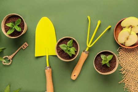 Peat pots with green seedlings, shovel and rake on green backgroundの写真素材