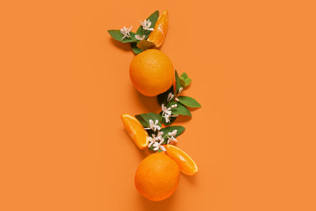 Oranges with blooming branches on color backgroundの写真素材
