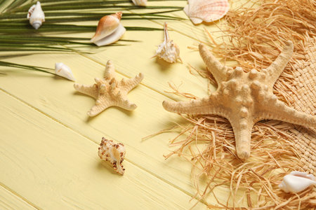 Composition with starfishes, seashells, hat and palm leaf on color wooden background