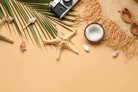 Composition with beach accessories, photo camera, palm leaf and seashells on color backgroundの写真素材