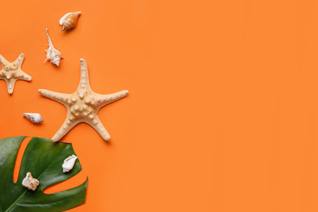 Composition with palm leaf, starfishes and seashells on color background