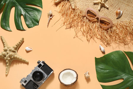 Frame made of palm leaves, photo camera, beach accessories and seashells on color backgroundの写真素材