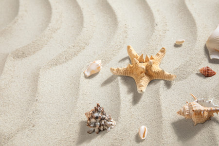 Starfish and seashells on sand