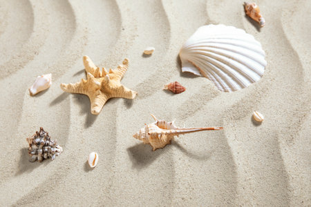 Starfish and seashells on sand