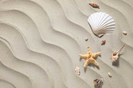 Starfish and seashells on sand