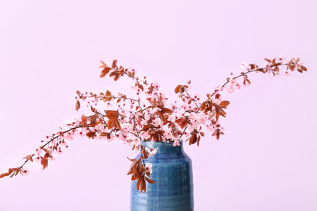 Vase with blooming tree branches on pink backgroundの写真素材
