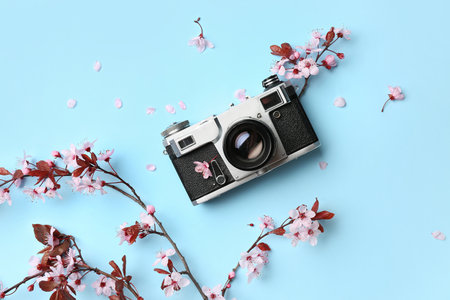 Blooming tree branches with pink flowers and photo camera on blue backgroundの写真素材
