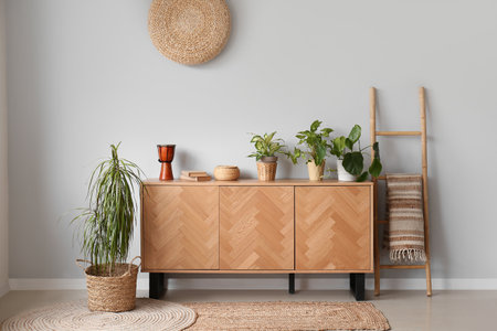 Stylish wooden cabinet with houseplants near gray wallの写真素材