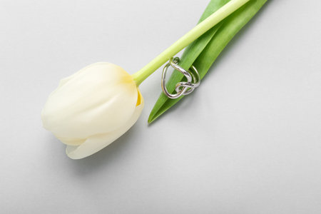 Tulip with silver ring on light background, closeupの写真素材