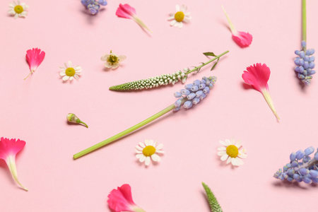 Composition with beautiful Muscari flowers and petals on pink backgroundの写真素材