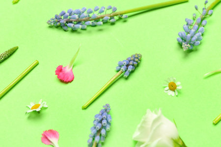 Composition with Muscari and eustoma flowers on green background