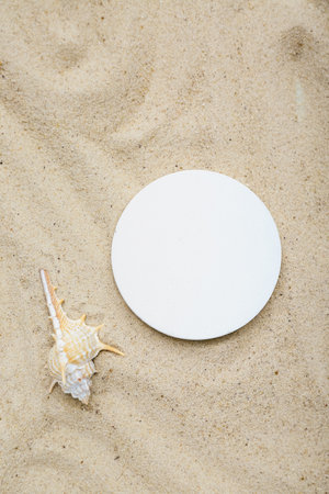 Decorative plaster podium and seashell in sandの写真素材