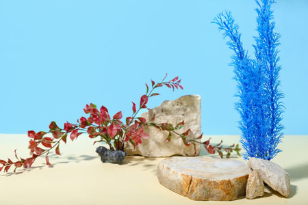 Decorative stone podium and seaweed in sand on blue backgroundの写真素材