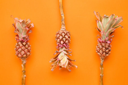 Decorative pineapples on red background