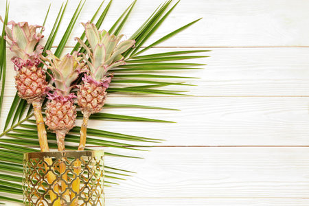 Vase with decorative pineapples and palm leaf on white wooden backgroundの写真素材