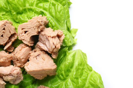 Delicious canned tuna with fresh lettuce isolated on white backgroundの写真素材