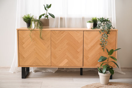 Wooden chest of drawers with houseplants in light living roomの写真素材