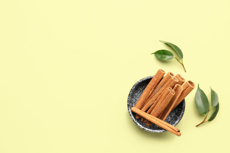 Bowl with cinnamon sticks and plant branches on color backgroundの写真素材