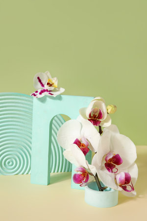 Decorative plaster podiums and beautiful orchid flowers on beige table against green backgroundの写真素材