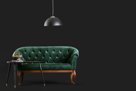 Stylish green sofa and coffee table with florarium on black backgroundの写真素材