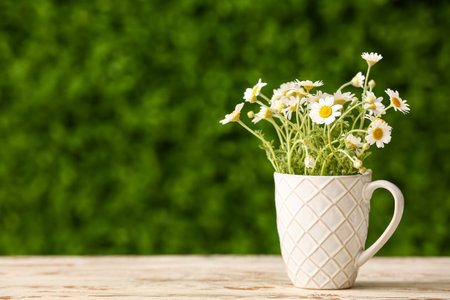 Cup with beautiful chamomile flowers on white wooden table outdoorsの写真素材