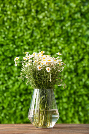 Glass vase with beautiful chamomile flowers on wooden table outdoorsの写真素材