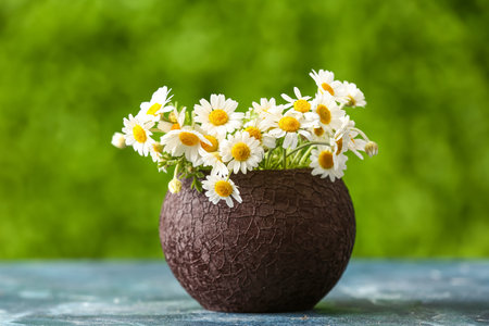 Vase with beautiful chamomile flowers on blue table outdoorsの写真素材