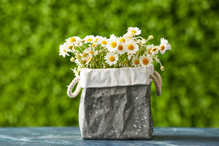Basket with beautiful chamomile flowers on blue table outdoorsの写真素材