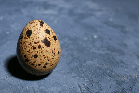 Fresh quail egg on blue background