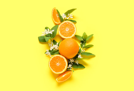 Blooming branches with oranges on yellow backgroundの写真素材