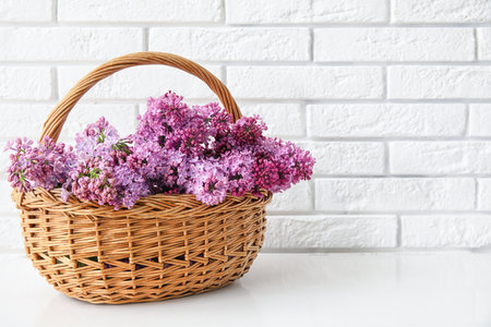 Basket with beautiful lilac flowers on table near light brick wallの写真素材