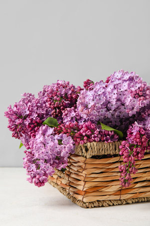 Wicker basket with fresh lilac flowers on light table, closeupの写真素材
