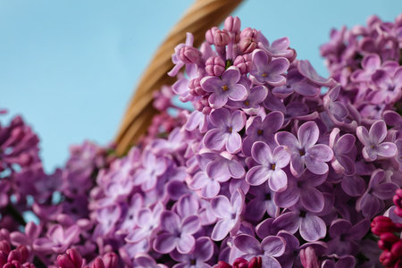 Basket with aromatic lilac flowers on color background, closeupの写真素材